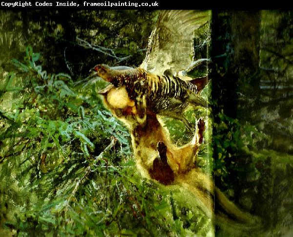 bruno liljefors barrskog med skogsmard anfallande en orrhona